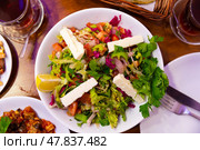 Turkish traditional choban salad. Стоковое фото, фотограф Яков Филимонов / Фотобанк Лори