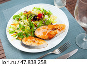 Two fried salmon steaks with vegetable salad. Стоковое фото, фотограф Яков Филимонов / Фотобанк Лори