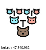 pedigree chart cat breeding color icon vector illustration. Стоковая иллюстрация, иллюстратор Vectorwin / Фотобанк Лори