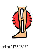 broken leg fracture injury color icon vector illustration. Стоковая иллюстрация, иллюстратор Vectorwin / Фотобанк Лори