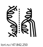 genome editing genetic engineering line icon vector illustration. Стоковая иллюстрация, иллюстратор Vectorwin / Фотобанк Лори