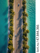 Aerial photo captures straight road lined with palm trees on both sides. Tall trees provide shade and a tropical vibe to the otherwise empty road. Стоковое AI-изображение, AI-художник Данила Большаков / Фотобанк Лори
