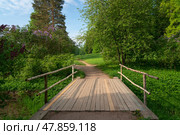 Wooden bridge with blooming lilac bushes around in the valley of the Slavyanka River in the landscape part of the Pavlovsky Palace and Park Complex on a summer day, Pavlovsk, St. Petersburg, Russia. Стоковое фото, фотограф Ula Ulachka / Фотобанк Лори