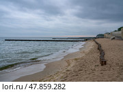 View of the Baltic Sea and wooden breakwaters of the city beach on a cloudy summer day, Svetlogorsk, Kaliningrad region, Russia. Стоковое фото, фотограф Ula Ulachka / Фотобанк Лори