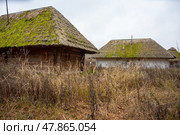 Small house with a thatched roof sits in a field. Стоковое фото, фотограф Олег Спиридонов / Фотобанк Лори