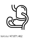 bdp bariatric line icon vector illustration. Стоковая иллюстрация, иллюстратор Vectorwin / Фотобанк Лори