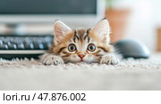 Playful Peek: Adorable Kitten Hiding on a Rug, Expressing Curiosity and Cuteness. Стоковое AI-изображение, AI-художник Данила Большаков / Фотобанк Лори