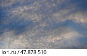 Altocumulus high cumulus heaped cloud genus belongs to stratocumuliform. Globular masses or rolls in layers or patches. Cumuliform stratocumuliform clouds, altocumulus signifies convection. Blue sky. Стоковое видео, видеограф Юлия Петровская / Фотобанк Лори