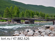Old wooden damaged bridge over Altai river Bashkaus. On the river banks there is siberian larch taiga forest. Стоковое фото, фотограф Сергей Пристяжнюк (Serg Zastavkin) / Фотобанк Лори