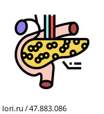 pancreas endocrinology color icon vector illustration. Стоковая иллюстрация, иллюстратор Vectorwin / Фотобанк Лори