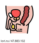 testes endocrinology color icon vector illustration. Стоковая иллюстрация, иллюстратор Vectorwin / Фотобанк Лори