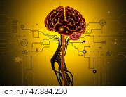 Человеческий мозг и алгоритм решения изобретательских задач. Стоковое AI-изображение, AI-художник Ольга Денис / Фотобанк Лори