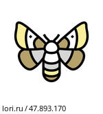 adult silkworm moths color icon vector illustration. Стоковая иллюстрация, иллюстратор Vectorwin / Фотобанк Лори