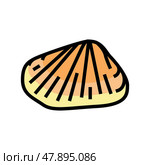 donax clam color icon vector illustration. Стоковая иллюстрация, иллюстратор Vectorwin / Фотобанк Лори