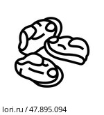 peeled mussel line icon vector illustration. Стоковая иллюстрация, иллюстратор Vectorwin / Фотобанк Лори
