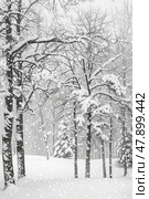 A monochrome depiction of a forest covered in snow, showcasing the stark contrast between the dark trees and the white snow on the ground. Стоковое AI-изображение, AI-художник Данила Большаков / Фотобанк Лори