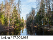 Река Рощинка (Линдуловка). Экотропа в природном заказнике "Линдуловская роща". (2024 год). Редакционное фото, фотограф Елена Арсентьева / Фотобанк Лори