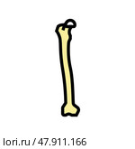femur bone color icon vector illustration. Стоковая иллюстрация, иллюстратор Vectorwin / Фотобанк Лори