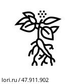 ginseng plant line icon vector illustration. Стоковая иллюстрация, иллюстратор Vectorwin / Фотобанк Лори