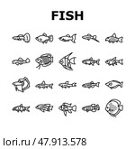 Aquarium Fish Tropical Animal Icons Set Vector. Стоковая иллюстрация, иллюстратор Vectorwin / Фотобанк Лори