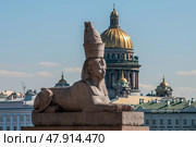 Сфинкс на фоне купола собора. Санкт-Петербург (2010 год). Стоковое фото, фотограф Александр Алексеев / Фотобанк Лори