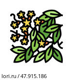 bignonia capreolata color icon vector illustration. Стоковая иллюстрация, иллюстратор Vectorwin / Фотобанк Лори