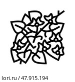 hyacinth bean line icon vector illustration. Стоковая иллюстрация, иллюстратор Vectorwin / Фотобанк Лори