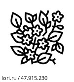 caroline jessamine line icon vector illustration. Стоковая иллюстрация, иллюстратор Vectorwin / Фотобанк Лори