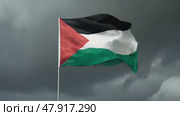 The Palestinian flag waving in the wind against an overcast dramatic dark sky. Стоковое AI-видео, аниматор Михаил Строгалев / Фотобанк Лори