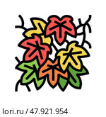 boston ivy color icon vector illustration. Стоковая иллюстрация, иллюстратор Vectorwin / Фотобанк Лори