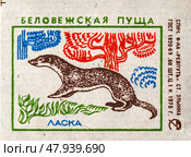 Ласка. Серия: Беловежская пуща. Спичечные этикетки СССР. 1975. Редакционное фото, фотограф Сергей Афанасьев / Фотобанк Лори