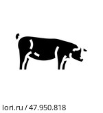 berkshire pig breed glyph icon vector illustration. Стоковая иллюстрация, иллюстратор Vectorwin / Фотобанк Лори