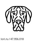 great dane dog puppy pet line icon vector illustration. Стоковая иллюстрация, иллюстратор Vectorwin / Фотобанк Лори