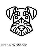 miniature schnauzer dog puppy pet line icon vector illustration. Стоковая иллюстрация, иллюстратор Vectorwin / Фотобанк Лори