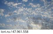 Real time video with altocumulus high cumulus heaped cloud stratocumuliform. Globular masses or rolls in patches. Cumuliform stratocumuliform clouds altocumulus signifies convection. Blue evening sky. Стоковое видео, видеограф Юлия Петровская / Фотобанк Лори