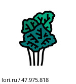 fishtail palm tree color icon vector illustration. Стоковая иллюстрация, иллюстратор Vectorwin / Фотобанк Лори