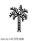 foxtail palm tree line icon vector illustration. Стоковая иллюстрация, иллюстратор Vectorwin / Фотобанк Лори
