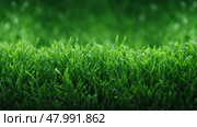 plant garden grass lush garden ai generated. Стоковое AI-изображение, AI-художник Vectorwin / Фотобанк Лори