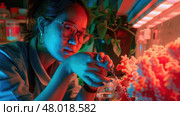 A researcher focuses intently on coral specimens in a vibrant laboratory filled with soft lighting. Стоковое AI-изображение, AI-художник Данила Большаков / Фотобанк Лори