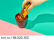 Traditional mexican birria ramen consomme soup and tacos with braised beef. Dip tacos in broth. Стоковое фото, фотограф Ирина Буракова / Фотобанк Лори
