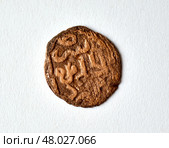 Пул - медная Ордынская монета хана Джанибека, Сарай аль -Джедид, сер. XIV ( Золотая Орда ) Стоковое фото, фотограф Павел Просянов / Фотобанк Лори