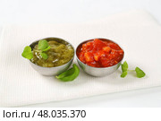 Basil pesto and tomato salsa. Стоковое фото, фотограф Alena Dvorakova / PantherMedia / Фотобанк Лори