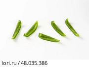 Green pepper slices. Стоковое фото, фотограф Alena Dvorakova / PantherMedia / Фотобанк Лори