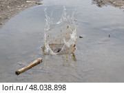 Всплеск воды от брошенной большой палки. Стоковое фото, фотограф Дмитрий Сакретарев / Фотобанк Лори