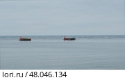 Двое рабочих собирают морскую капусту в море. Сахалин 2025 год. Стоковое видео, видеограф Эльвира  Трощенкова / Фотобанк Лори