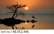wetland mangrove forest landscape ai generated. Стоковое AI-изображение, AI-художник Vectorwin / Фотобанк Лори