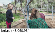 Young blond girl carefully feeding pony through slow hay net, supporting balanced nutrition and preventing overgrazing near wooden barn fence on sunny ranch day. Стоковое видео, видеограф Данил Руденко / Фотобанк Лори