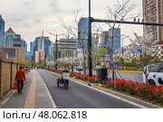 Shanghai, China - 1 April 2025: Colorful sunset in Pudong with flowering branches. Chinese citizens crossing street. Urban spring view. Редакционное фото, фотограф Татьяна Терехина / Фотобанк Лори