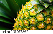 exotic pineaple pineapple fruit ai generated. Стоковое AI-изображение, AI-художник Vectorwin / Фотобанк Лори