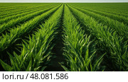 agriculture monoculture crop farm ai generated. Стоковое AI-изображение, AI-художник Vectorwin / Фотобанк Лори